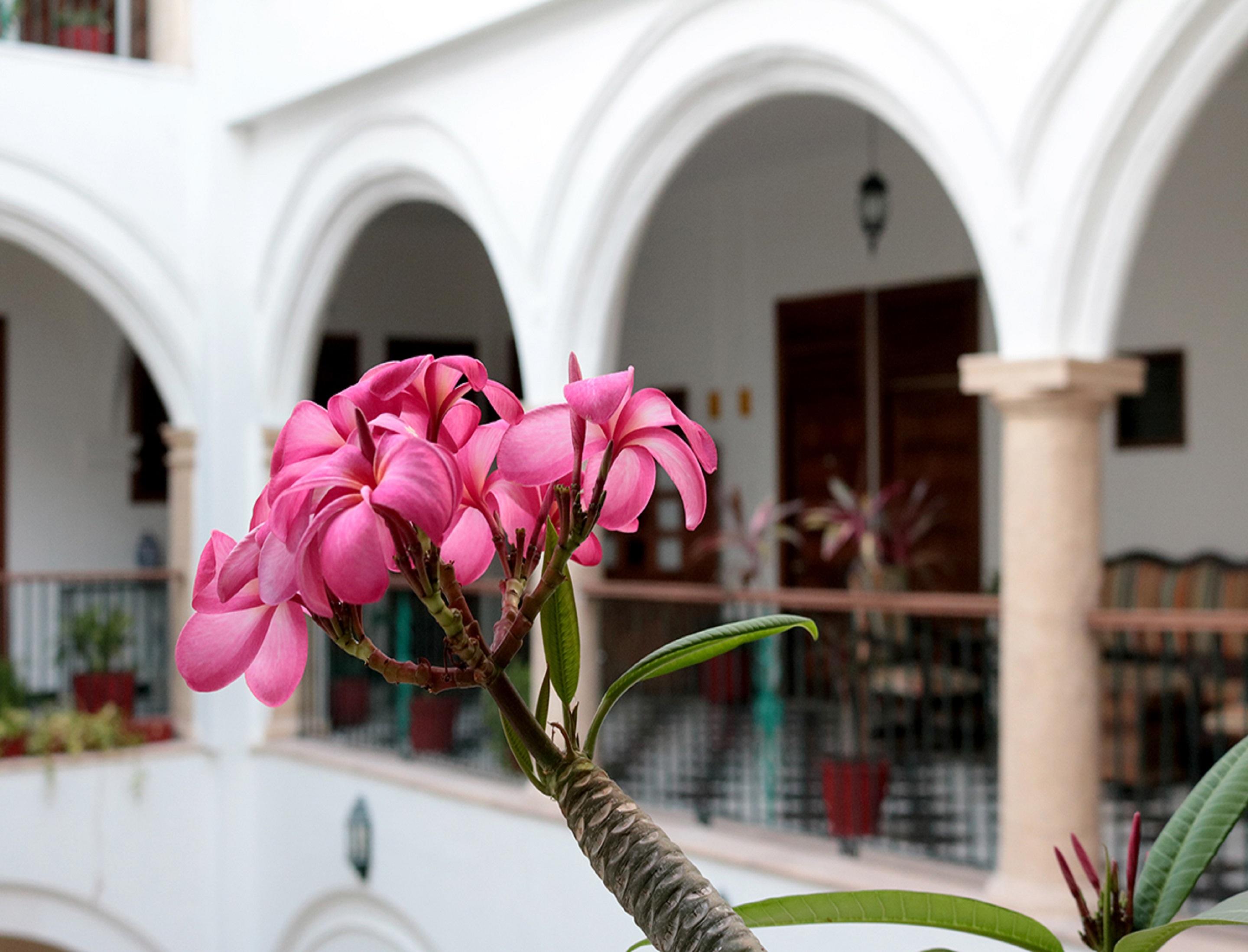 Mision Campeche Hotel Exterior photo